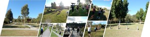 Riseality Fitness Pic 2 - A snapshot of our outdoor training sessions and locations