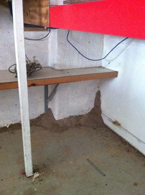 Peace of Mind Pest Control Pic 4 - Termites gaining access via a concrete construction joint This is were the concrete slab abuts the external wall a gap forms when the concrete shrinks allowing termite access