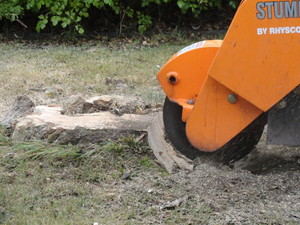 Horizon Tree Service Pic 2 - Stump Grinding Rosetta