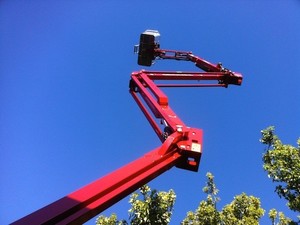 Colourful Tree Lopping & Stump Grinding Pic 3 - Cherry Picker so we can get to anything