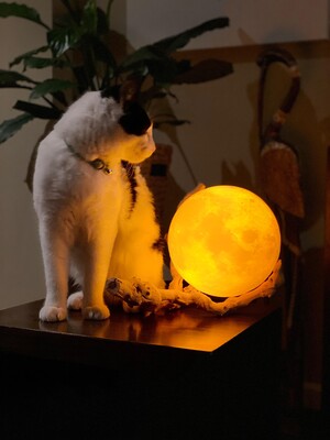 Ultimate Moon Lamps Pic 4