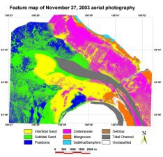 Cooe Pic 2 - marine vegetation mapping