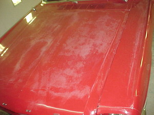 Auto Paint Restorers Pic 4 - ford mustang work in progress