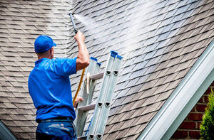 Roof Painting and Restoration Sydney Pic 4