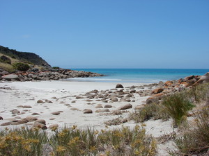 Sea Dragon Lodge Pic 3 - Our very own private beach