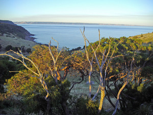 Sea Dragon Lodge Pic 4 - View from the deck