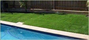 Andyman Synthetic Turf Pic 4 - Artificial Grass