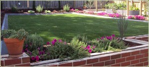 Andyman Synthetic Turf Pic 3 - Artificial Lawn