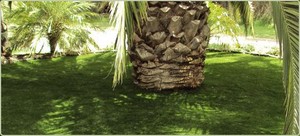 Andyman Synthetic Turf Pic 2 - Fake Grass