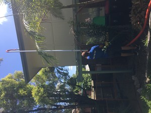 Brisbane Window & Solar Panel Cleaning Pic 3