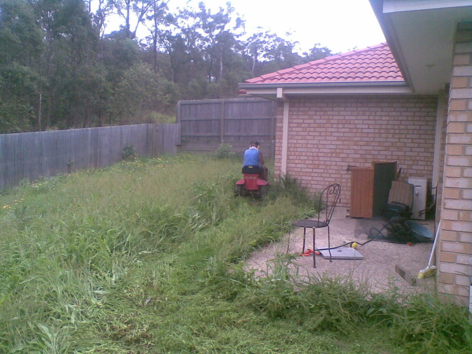 Carmichael Gardening Services Pic 1 - Before