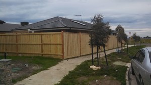 Sundance Fencing Pic 3 - 1950mm high exposed Hardwood post Treated pine paling fence with capping 450mmx450mmx600mm concrete footings