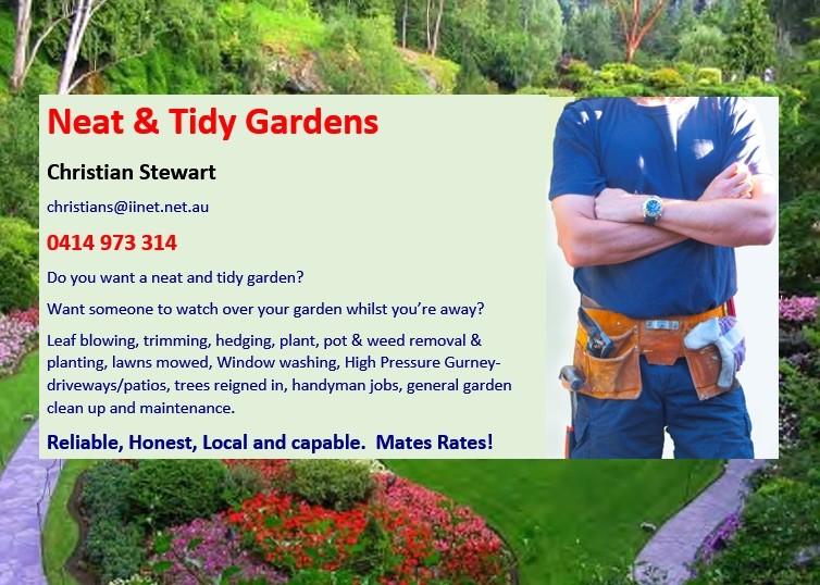 Neat & Tidy Gardens & Maintenance Pic 2