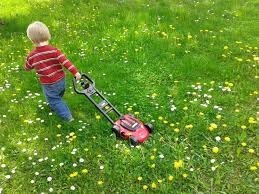 APPLECROSS LAWN MOWING Pic 2