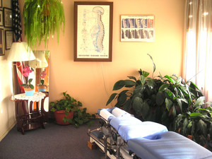 Brinsmead Chiropractic Clinic Pic 4 - 1 Of 3 adjusting rooms