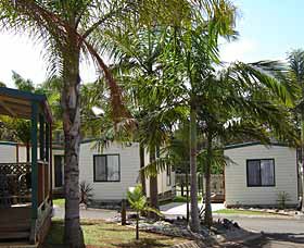 Port Macquarie Holiday Cabins Pic 1 - Port Macquarie Holiday Cabins