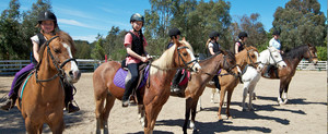 Valley Park Riding School Pty Ltd Pic 5