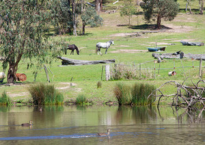 Valley Park Riding School Pty Ltd Pic 3 - Valley Park scenery