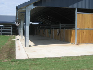 Vancisco Industries Pic 4 - horse stables built to owners design