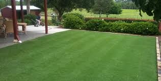 Central Coast Lawns Pic 2