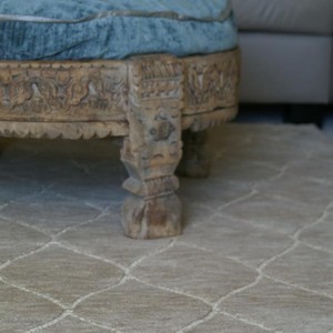 The Rug Est. Pic 3