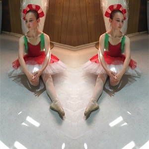 The Michelle Madlener Ballet Studio Pic 5