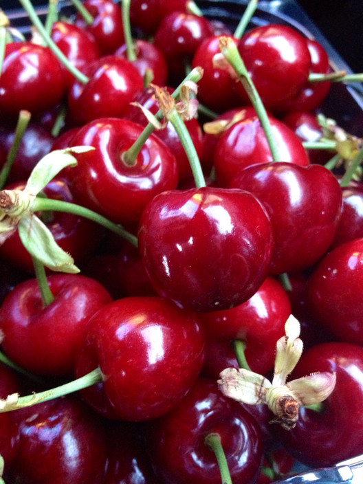 Bandiera Cherries Pic 1 - Bandiera cherries at Norton Summit in the Adelaide Hills