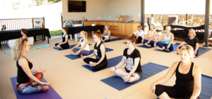 Yoga in the Vines Pic 2