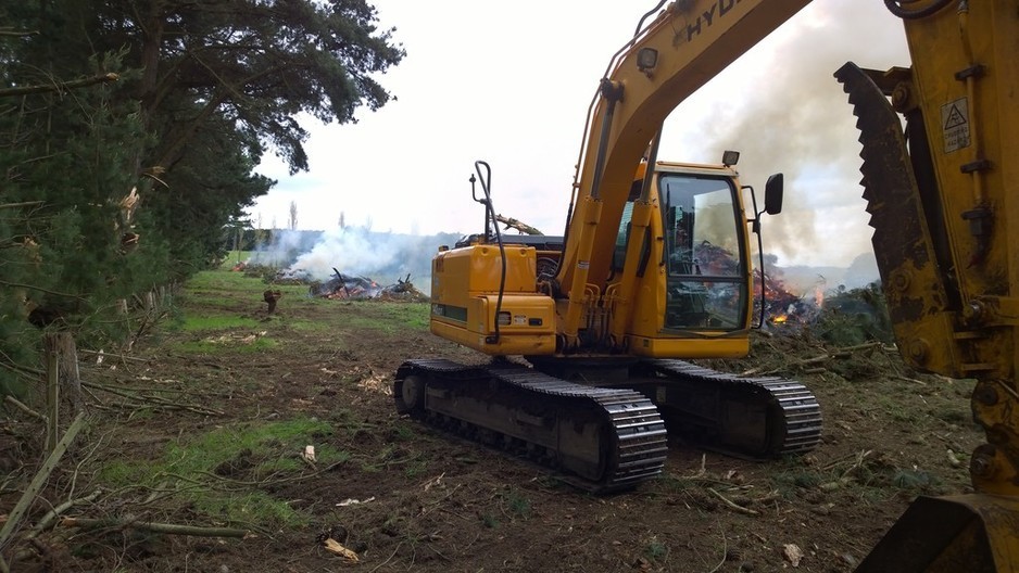 C & L Blake Excavation & Civil Pty Ltd Pic 1 - Tree Clean out