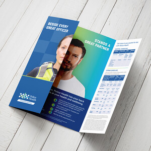 Jeremy DV Boyd - Freelance Graphic Design & Illustration Pic 4 - Brochure Design