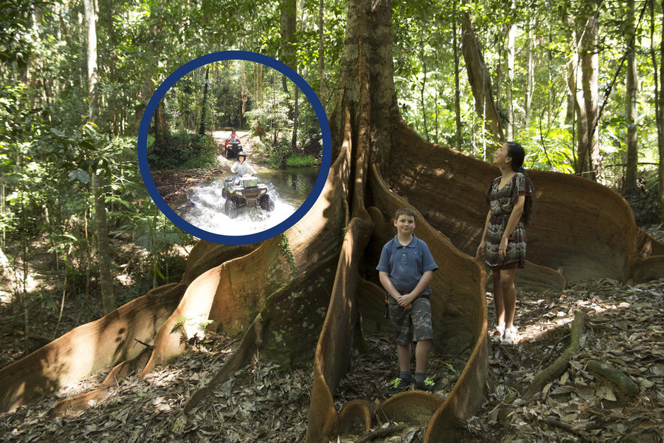 Barron Falls Estate Pic 1 - Explore the oldest tropical rainforest on Earth with Kuranda Rainforest Journeys