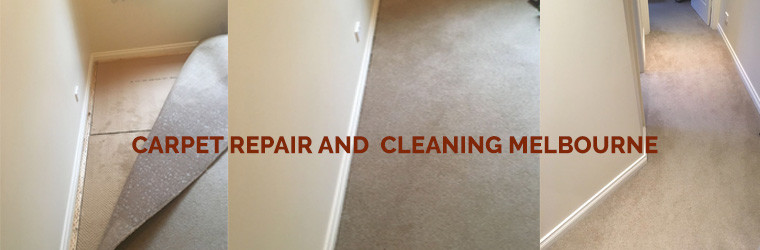 Spotless Carpet Cleaning Werribee Pic 1