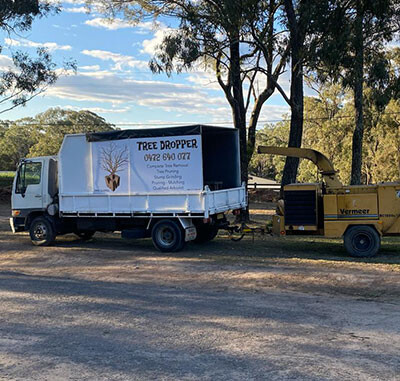 Tree Dropper Pic 1 - Tree Dropper qualified arborists offer services in Hawkesbury from tree trimming to pruning tree removal services stump grinding Canopy Thinning more