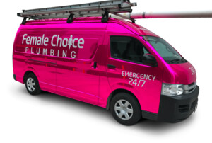 Female Choice Plumbing Pic 4