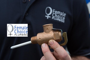 Female Choice Plumbing Pic 3