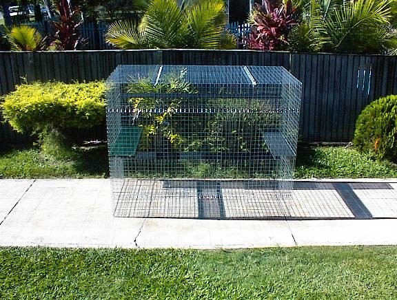 Aussie Cat Enclosures Pic 1 - 1800 high x 1200 deep x 2400 wide 3 shelves 1 hammock large access door Galvanized steel 895