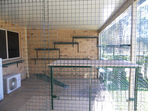 Aussie cat enclosures best sale