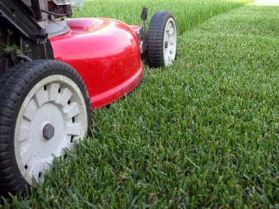 Al's Mowing Pic 1