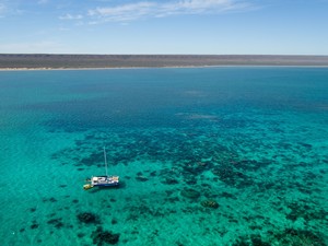 Ningaloo Discovery Pic 2 - Swim with whale sharks Ningaloo Discovery