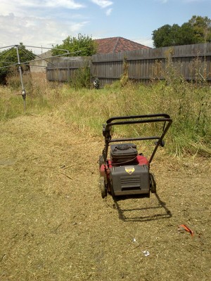 Jb Cleaning Services Pic 3 - Weed Control for Up to a Year