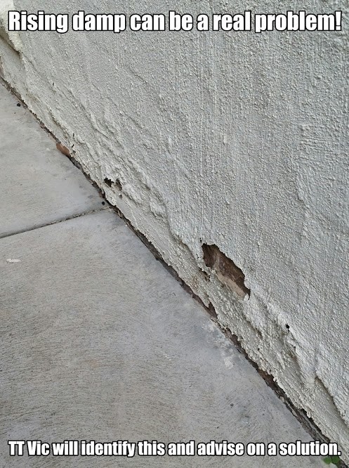 TT Vic Building Consultants Pic 1 - Rising damp is a real problem issue TT Vic can help resolve this