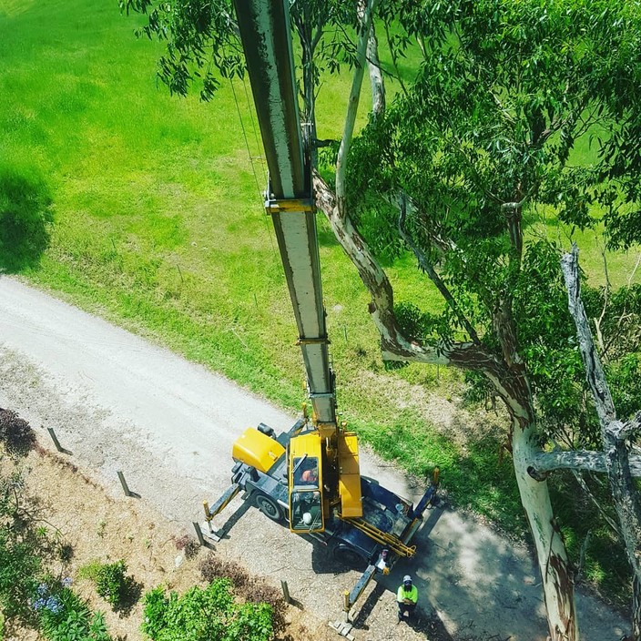 Tweed Valley Tree Services Pic 1