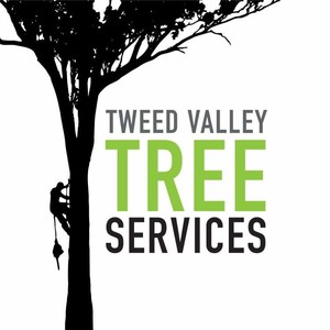 Tweed Valley Tree Services Pic 4