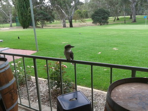 Gutter-Vac Mildura (Sunraysia), Broken Hill and Riverland Pic 4