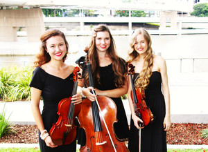 Bonito String Quartet & Ensembles Pic 4