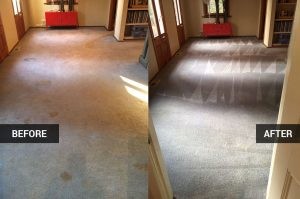 Carpet Cleaning Melbourne Pic 3