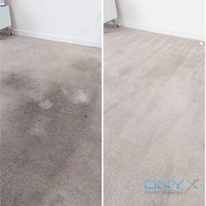 Onyx Carpet Cleaning Pic 2