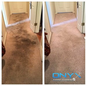 Onyx Carpet Cleaning Pic 4