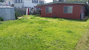 Dale's Mowing Pic 5 - Before