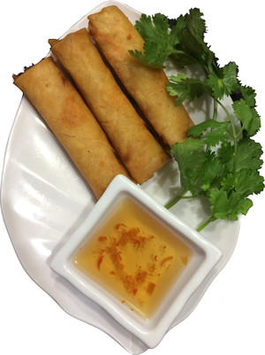 Tasty Bud Cafe Pic 4 - Spring Rolls